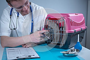 Cat in pet carrier on examination table of veterinarian clinic with pet doctor. Male veterinarian in white medical suit