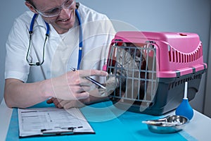 Cat in pet carrier on examination table of veterinarian clinic with pet doctor. Male veterinarian in white medical suit