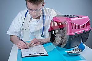 Cat in pet carrier on examination table of veterinarian clinic with pet doctor. Male veterinarian in white medical suit