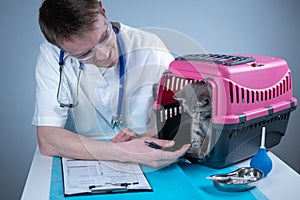 Cat in pet carrier on examination table of veterinarian clinic with pet doctor. Male veterinarian in white medical suit