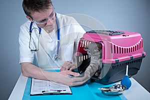 Cat in pet carrier on examination table of veterinarian clinic with pet doctor. Male veterinarian in white medical suit