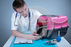 Cat in pet carrier on examination table of veterinarian clinic with pet doctor. Male veterinarian in white medical suit