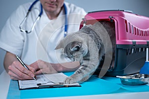 Cat in pet carrier on examination table of veterinarian clinic with pet doctor. Male veterinarian in white medical suit