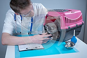 Cat in pet carrier on examination table of veterinarian clinic with pet doctor. Male veterinarian in white medical suit