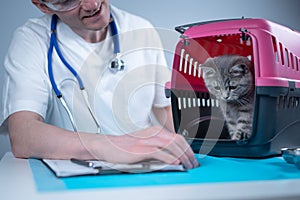 Cat in pet carrier on examination table of veterinarian clinic with pet doctor. Male veterinarian in white medical suit