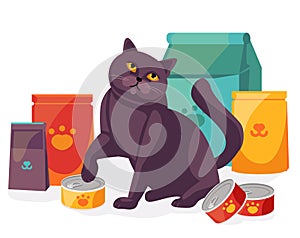 Cat in pet store with packages and canned food for pets. British Scottish cat with its feed. Vector illustration