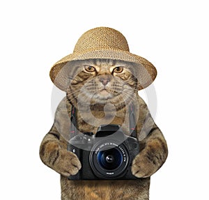 Cat with camera 2