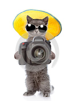 Cat photographer in summer hat and sunglasses taking pictures. isolated on white background