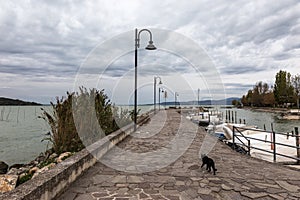 A cat on a pier on Trasimeno lake Umbria, with some docked boats and beneath an overcast sky