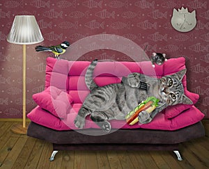 Cat on pink divan eating hot dog