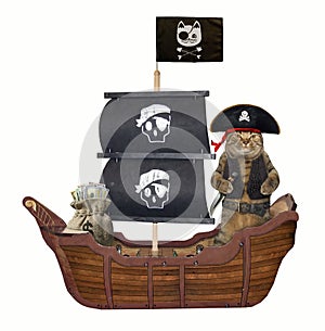 Cat pirate on the ship