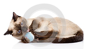 Cat playing with a ball. on white background