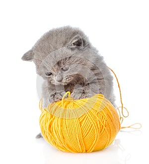 Cat playing with a ball of wool. isolated on white background