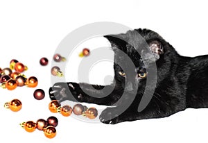 Cat playing with Christmas decorations