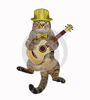 Cat playing the guitar