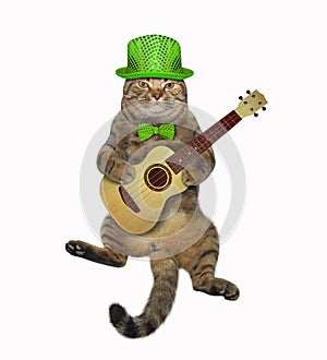 Cat playing the guitar 2