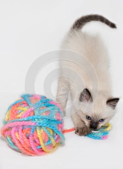 Cat playing with yarn isolated