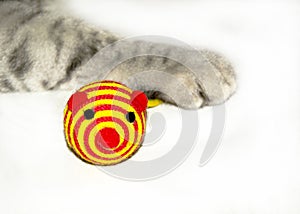 Cat playing with yellow -red toy mouse