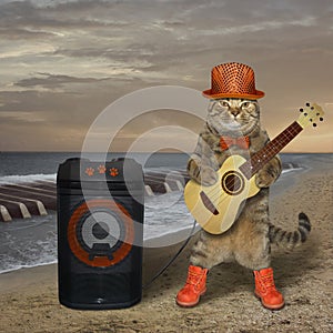 Cat plays the guitar near the speaker 3