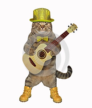 Cat plays the guitar in yellow