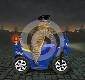 Cat policeman on a motorbike 2