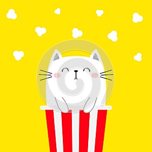 Cat in popcorn box. Kitten and movie. Pop corn popping. Cute cartoon kawaii funny character. Kids print. Cinema theater. Film show