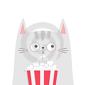 Cat popcorn box. Kitten watching movie. Cute cartoon funny character. Kids print for tshirt notebook cover. Cinema theater. Film