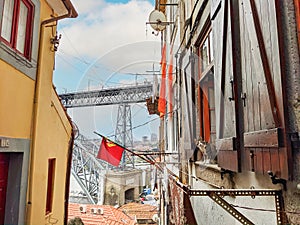 Cat Porto street bridge cityscape