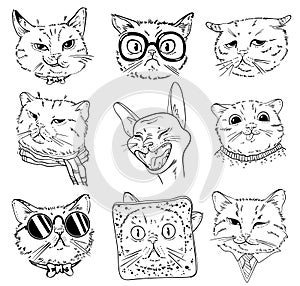 Cat portrait drawing. Black and white cartoon characters. Set