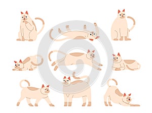 Cat Poses Capture Feline Elegance And Playfulness. From The Classic Stretch To The Curious Pounce Movement Vector Set