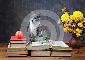 Cat posing for on books and flowers