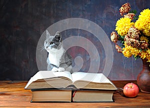 Cat posing for on books and flowers