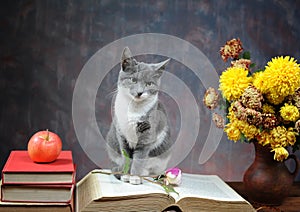 Cat posing for on books and flowers