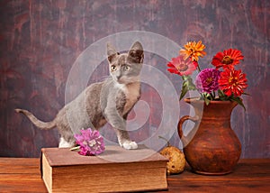 Cat posing next to flowers