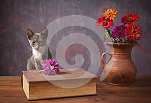 Cat posing next to flowers in a vase