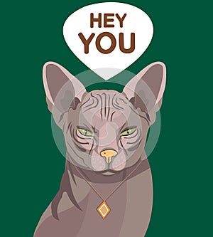 Cat poster with the inscription `Hey you`.