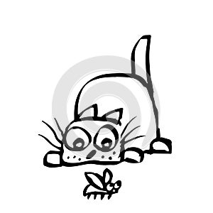 Cat preys on the beetle. Vector illustration.