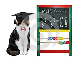 Cat professor near a blackboard 2
