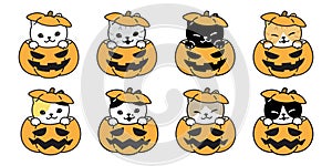 Cat  pumpkin Halloween icon kitten breed calico logo symbol cartoon character doodle illustration design