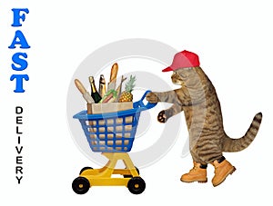 Cat pushing plastic trolley of food 2