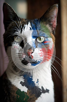 Cat putting on warpaint. Generative AI