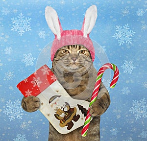 Cat in rabbit ears with christmas boot