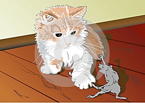 A cat and a rat