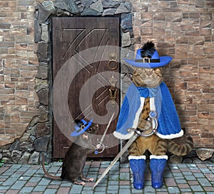 Cat with rat guard castle