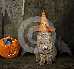 Cat with a rat on Halloween 2