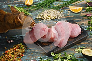 Cat and raw ingredients for healthy food on rough dyed wooden background.