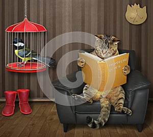 Cat reads book near cage with tit