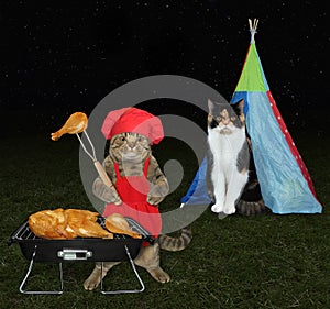 Cat in red apron cooks meat near tent 3