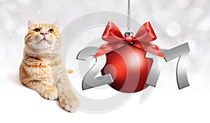 Cat and red christmas ball with red satin ribbon bow