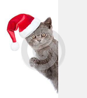 Cat in red christmas hat peeking from behind empty board and looking at camera. isolated on white background
